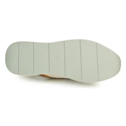 JB Martin - KALIO Sahara