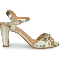 JB Martin - LATINO METALDORE Clearance