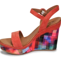 JB Martin - LIVE Multicolor Best