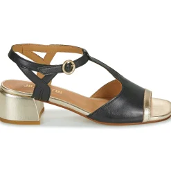 JB Martin - MITAINE Nappanoir Online