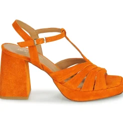 JB Martin - MUCCIA Croûteorange Discount