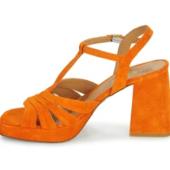 JB Martin - MUCCIA Croûteorange Discount