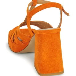 JB Martin - MUCCIA Croûteorange Discount