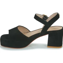 JB Martin - ORIA CROUTEVELOURSNOIR