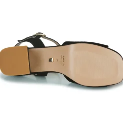 JB Martin - ORIA CROUTEVELOURSNOIR