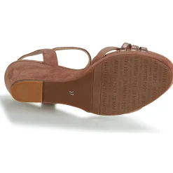 JB Martin - QUOLIDAYS Camel Hot