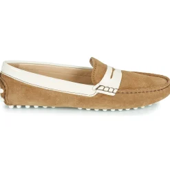 Outlet JB Martin - TABATA Marron