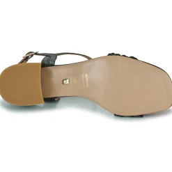 JB Martin - VALSER Tressénoir