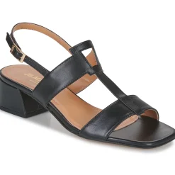 JB Martin - VIOLAINE NAPPANOIR