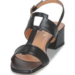 JB Martin - VIOLAINE NAPPANOIR