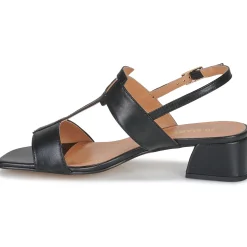 JB Martin - VIOLAINE NAPPANOIR