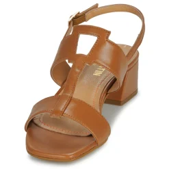 JB Martin - VIOLAINE