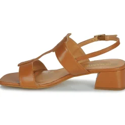 JB Martin - VIOLAINE