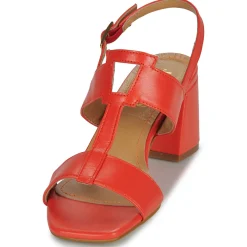 Best JB Martin - VITALIE NAPPACORAIL