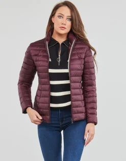 Discount JOTT - CHA Violet