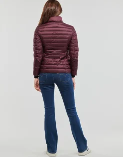 Discount JOTT - CHA Violet