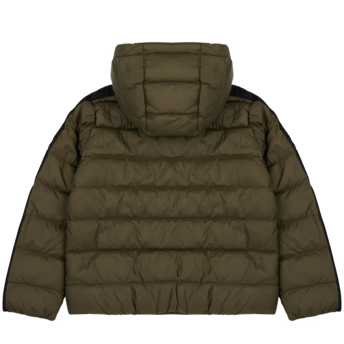 Outlet JOTT - JOY RIBBON Kaki