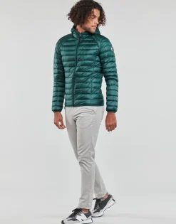 JOTT - NICO VERTFONCE Discount