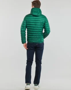 JOTT - NICO Vertfoncé Online