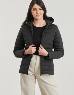 New JOTT - SALMA Noir