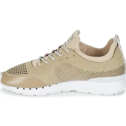 Kangaroos - COIL 2.0 MONO