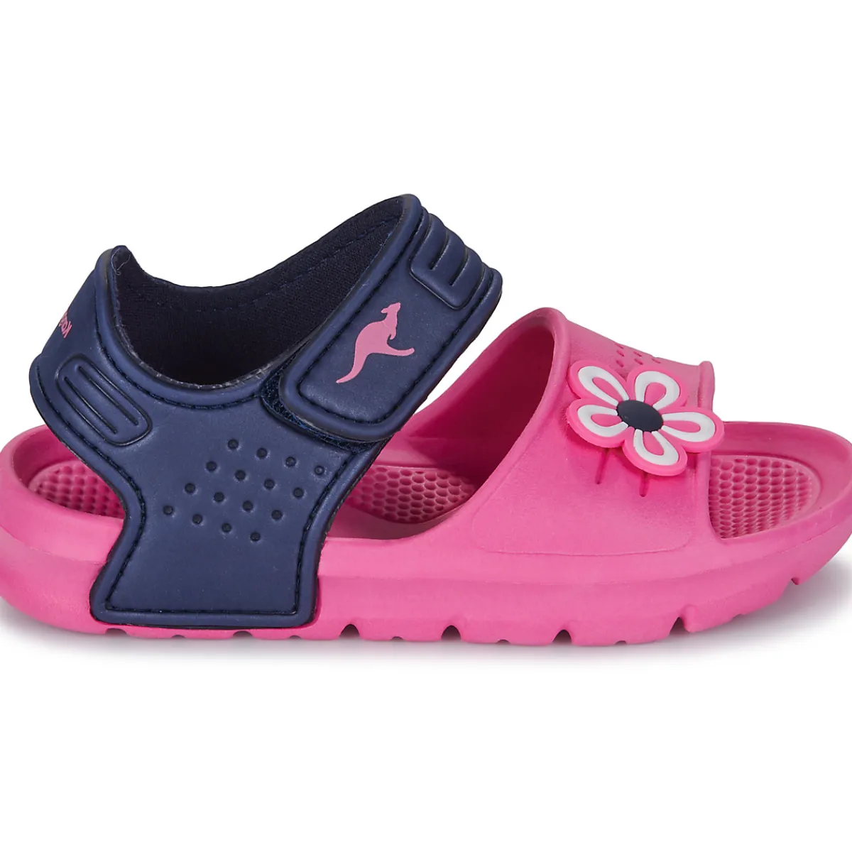 Hot Kangaroos - KangaSwim II