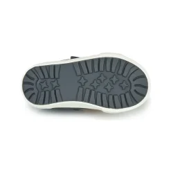 Kangaroos - KAVU I Marine Online