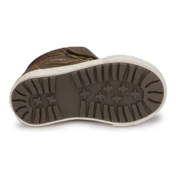 Kangaroos - KAVU III