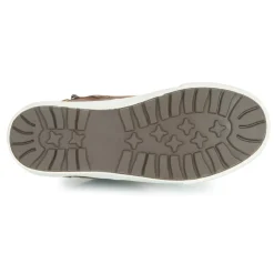 Kangaroos - Kavu X Marron Clearance