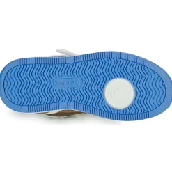 Kangaroos - K-CP Kalley II EV Hot