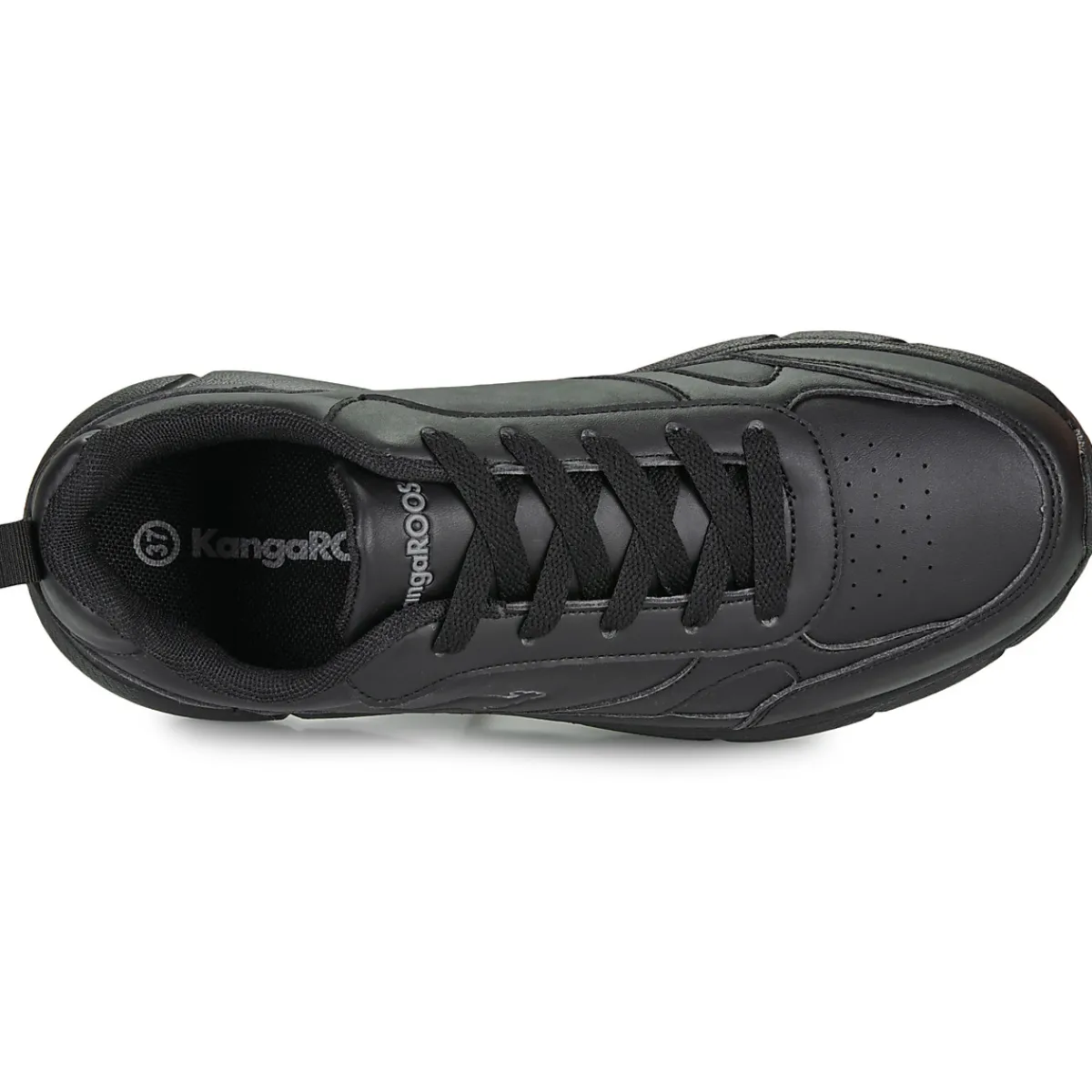 Kangaroos - K-CR Adina