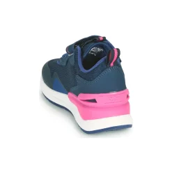 Kangaroos - KD-GYM EV