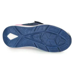 Kangaroos - KD-GYM EV