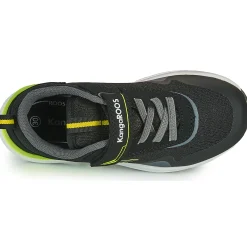 Kangaroos - KD-GYM EV