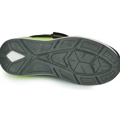 Kangaroos - KD-GYM EV