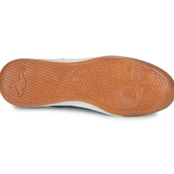 Kangaroos - K-HIGHYARD EV