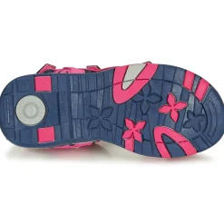 Hot Kangaroos - K-LENI Rose