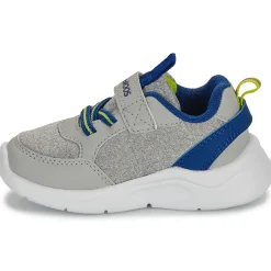 Kangaroos - K-NY Chip EV