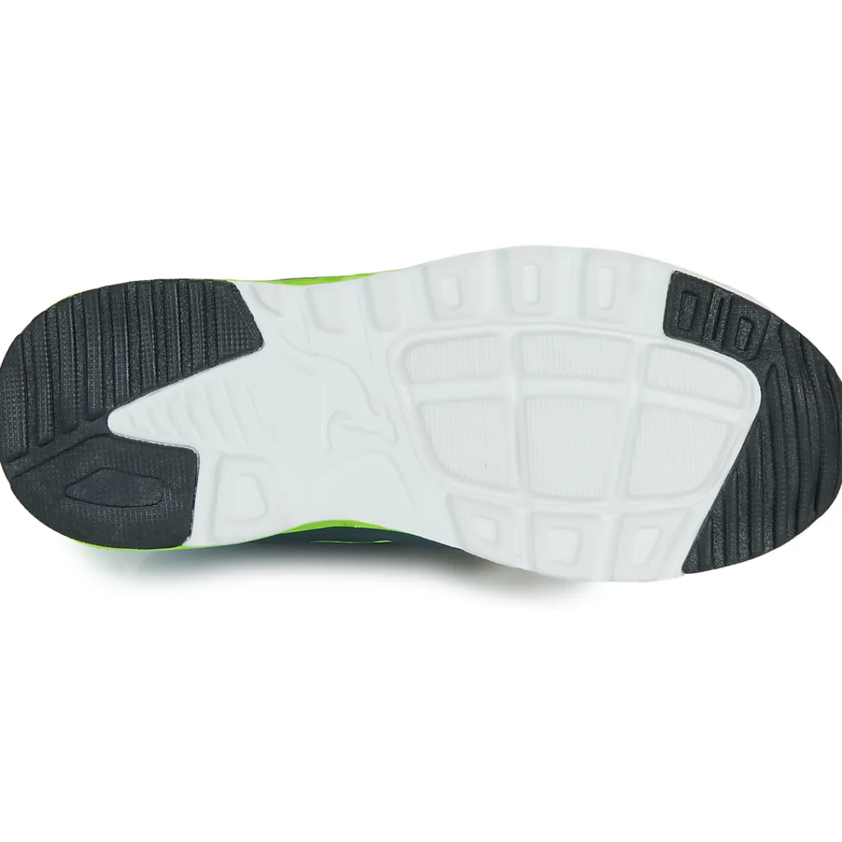 Best Kangaroos - KX-Hydro Marine