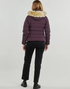 Kaporal - MIBBY Bordeaux Hot