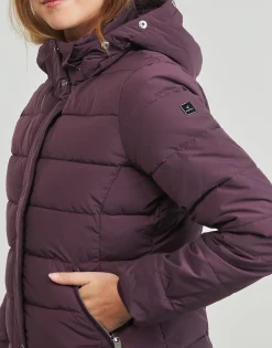 Kaporal - MIBBY Bordeaux Hot