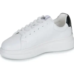 Online Karl Lagerfeld - Z30381