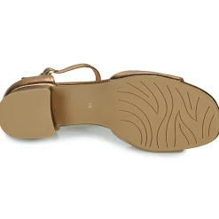 Karston - AMBER Doré Best