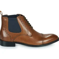 Online Kdopa - ALCOVIA Camel