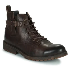 Kdopa - ALEGRE Marron Best