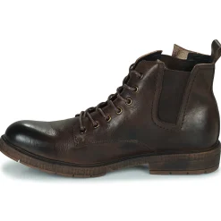 Kdopa - ALEGRE Marron Best