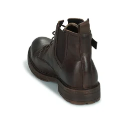 Kdopa - ALEGRE Marron Best