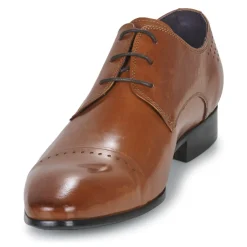 Kdopa - ALONSO Camel