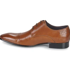 Kdopa - ALONSO Camel