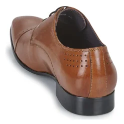 Kdopa - ALONSO Camel